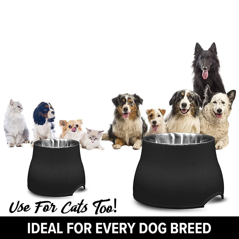 Quality Elevated Bowl for Dogs Stainless Steel Removable Nontoxic Pet Bowl with Stand Dishwasher Safe Puppy Feeding