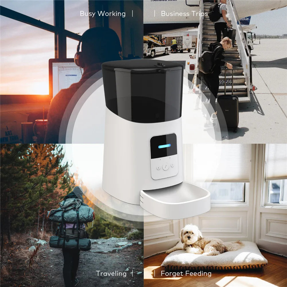 6L Intelligent Wi-Fi Automatic Pet Feeder for Cats and Dogs with APP Timer and Smart Food Dispensing System